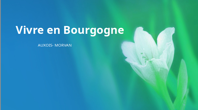 Vivre en bourgogne l'auxois Movan